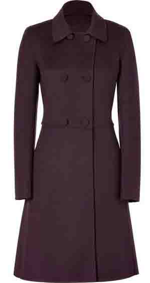 the image didn't load